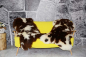 Preview: Öko Lammfell Twin-Set 2er-Pack – Kuschelige Lammfelle Beige Braun Getupft