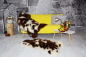 Preview: Öko Lammfell Twin-Set 2er-Pack – Kuschelige Lammfelle Beige Braun Getupft