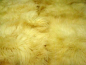 Preview: 6er Lammfell-Teppich Honey Gold Honigfarben XXL Riesen-Fellteppich