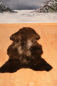Preview: Öko Lammfell Tricolor Dark – Hundebett, Spieldecke & Ruheplatz Unikat