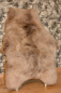 Preview: Super Süß Katzen Spielteppich Lammfell Gigant Beige Colore
