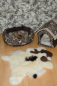 Preview: B-Ware Öko Lammfell Tierbett & Hundebett – Weiches Naturfell 75x50cm
