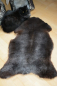 Preview: Öko Lammfell Tierbett & Hundebett Tricoloure Silbergrau Braun Schwarz