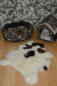 Preview: B-Ware Öko Lammfell Tierbett & Hundebett – Weiches Naturfell 75x50cm