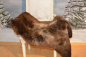 Preview: Öko Lammfell Tricolor Dark – Hundebett, Spieldecke & Ruheplatz Unikat