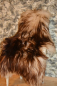 Preview: Islandfell Geflammt Zweifarbig (Beige-Braun) – Öko-Naturfell Unikat
