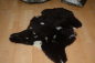 Preview: Öko Lammfell Tierbett & Hundebett (95x60cm) – Weiches Naturfell Mocca Dark getupft