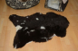 Preview: Öko Lammfell Tierbett & Hundebett (95x60cm) – Weiches Naturfell Mocca Dark getupft