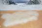 Preview: Schneeweißes XXXL Riesen-Islandfell Langhaar – Luxus-Naturfell Unikat