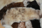Preview: Öko Lammfell Katzenbett Beige getupft Fensterfell