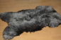 Preview: B-Ware Lammfell Silber-Multicolor – Wärmetherapie & Physiotherapie