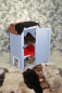 Preview: Öko Lammfell Katzenbett Schwarz einfarbig Fensterfell
