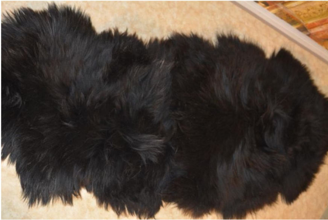 Island-Fellteppich Schwarz XXL Naturbelassen Natur Fellteppich