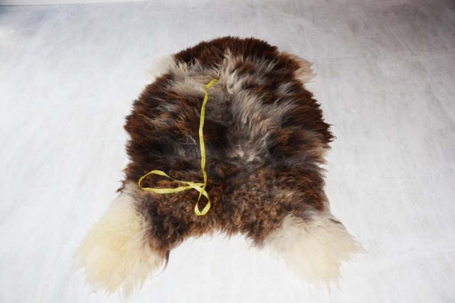 Öko Tiroler Steinschaf Wollteppich XXXL – Echtes Naturfell 145cm