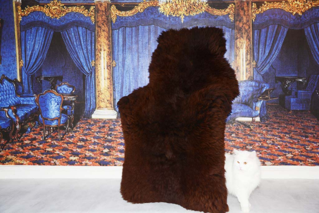 Öko Schaffell Modell Braunbär XXXL – Dunkelbraunes Riesen-Naturfell Unikat 155cm