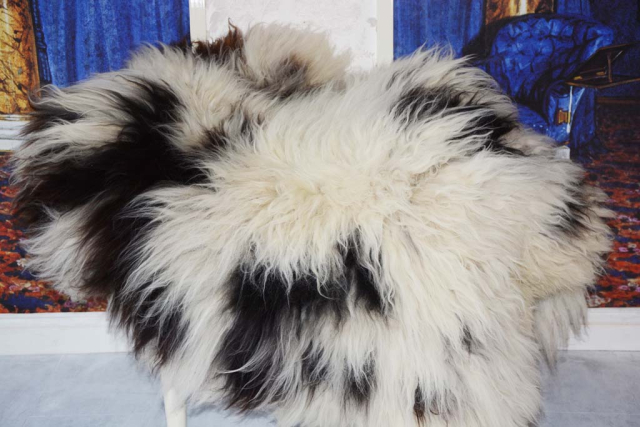 Gigant Öko Lammfell Pandabär XXXL – Großer Fellteppich 140cm