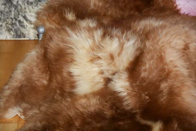 Ein funkelnder Bernsteintraum voller Eleganz und Raffinesse