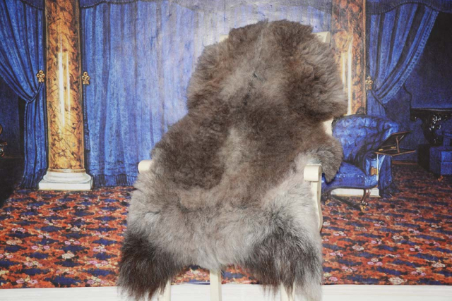 Heidschnucken Fell Silber Grau Öko XXL Naturfell