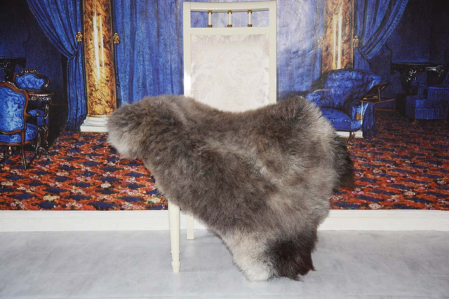 Heidschnucken Fell Silber Grau Öko XXL Naturfell