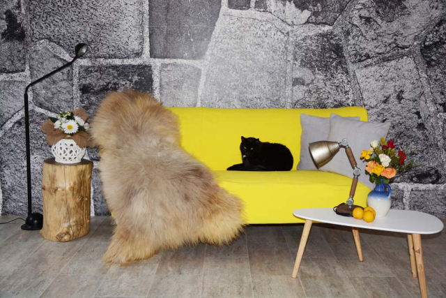Öko Lammfell Honey Silbergrau XXXL – Echtes Naturfell Teppich 130cm
