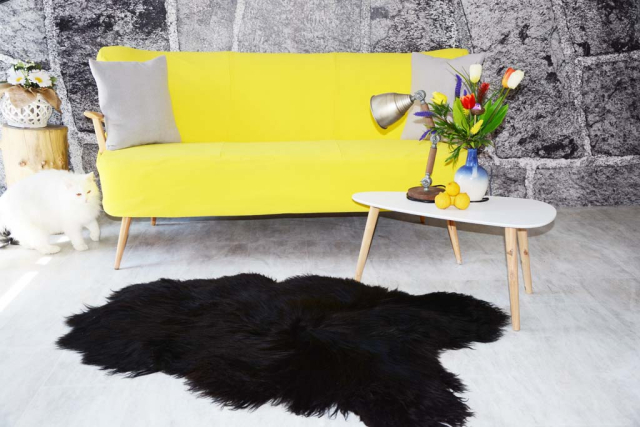 Islandfell Schwarz Langhaar Twinset 2er Set Öko XXL