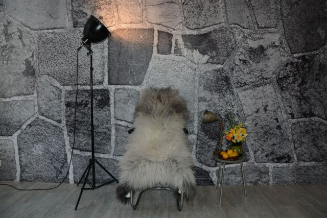 Islandfell Silber Point – Öko-Naturfell Unikat Langhaar 120cm