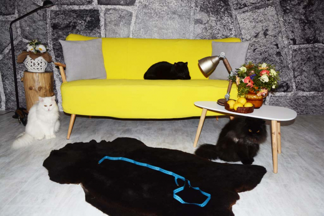 Öko Lammfell Tiefschwarz – Echtes Naturfell 100cm für LARP & Camping