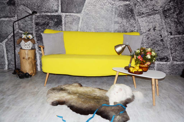 Unikat Lammfell Silbergrau Coloure Kuschelplatz für Haustiere