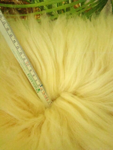 6er Lammfell-Teppich Honey Gold Honigfarben XXL Riesen-Fellteppich