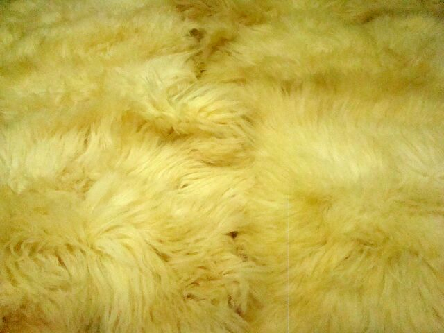 6er Lammfell-Teppich Honey Gold Honigfarben XXL Riesen-Fellteppich