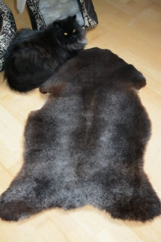 Öko Lammfell Tierbett & Hundebett Tricoloure Silbergrau Braun Schwarz