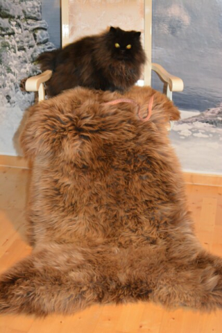 Öko Lammfell Gigant Beige Point Übergröße XXXL Unikat