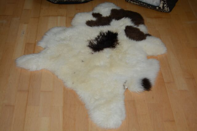 B-Ware Öko Lammfell Tierbett & Hundebett – Weiches Naturfell 75x50cm