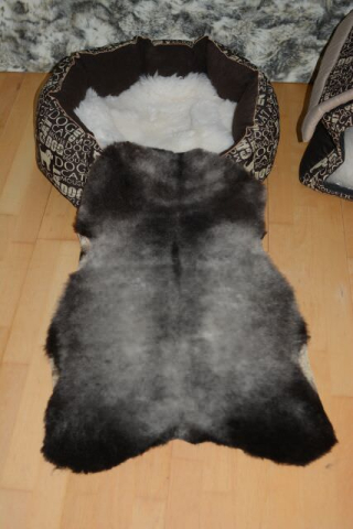 Öko Lammfell Tierbett & Hundebett – Silber Schwarz geschoren 90cm