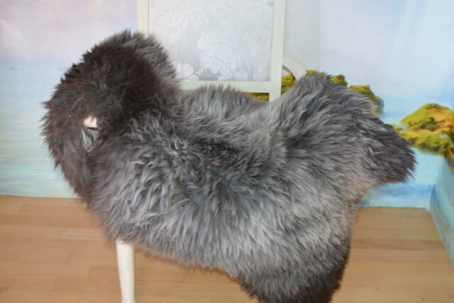 B-Ware Öko Silber-Lammfell Zweifarbig XXL – Naturfell Unikat 120cm