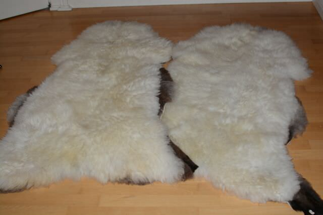 Öko Lammfell Twin-Set Gigant XXXL Wollweiß – Zwei Riesen-Naturfelle Unikate 150cm