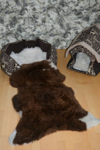 Öko Lammfell Tierbett & Hundebett Haselnuss Beige