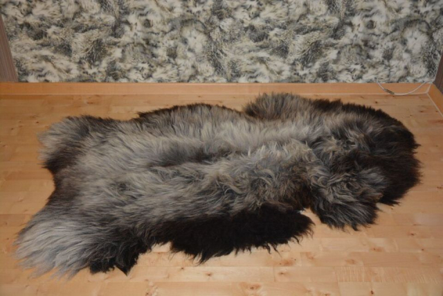 XXL Öko Schaffell Tricolour 160cm – Dreifarbiges Naturfell Unikat