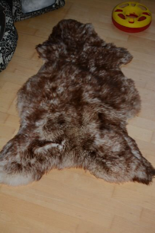 Öko Lammfell Tierbett & Hundebett Monsterfell Mokka Geflammt