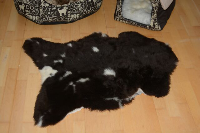 Öko Lammfell Tierbett & Hundebett (95x60cm) – Weiches Naturfell Mocca Dark getupft