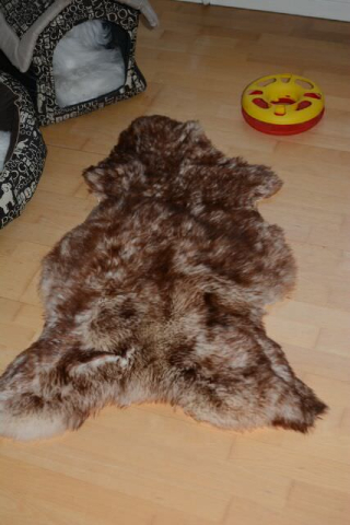 Öko Lammfell Tierbett & Hundebett Monsterfell Mokka Geflammt