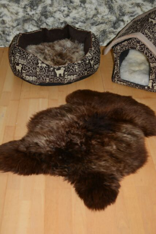 Öko Lammfell Tierbett & Hundebett (70-80cm) – Weiches Naturfell Beige-Braun