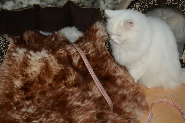 Öko Lammfell Tierbett & Hundebett Monsterfell Mokka Geflammt