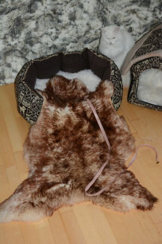Öko Lammfell Tierbett & Hundebett Monsterfell Mokka Geflammt