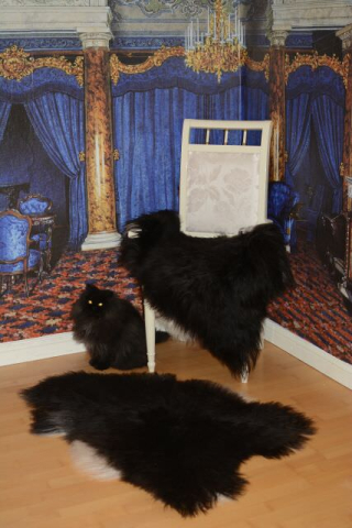 B-Ware Island Fell Twin Set Schwarz (2 Stück)