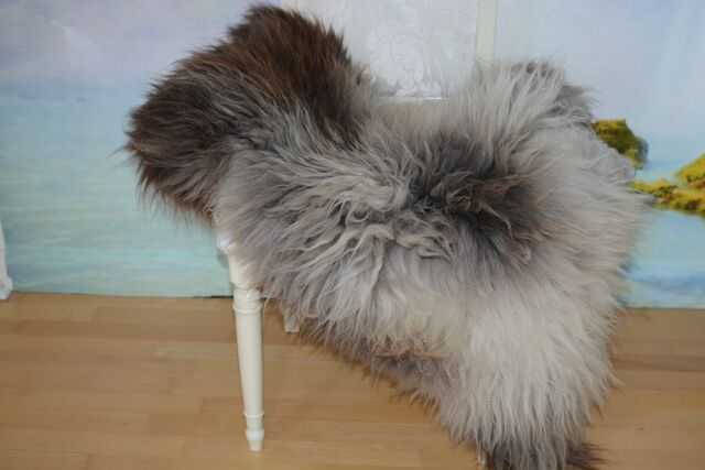 B-Ware Islandfell Silber-Grau Langhaar – Naturfell Unikat 15cm