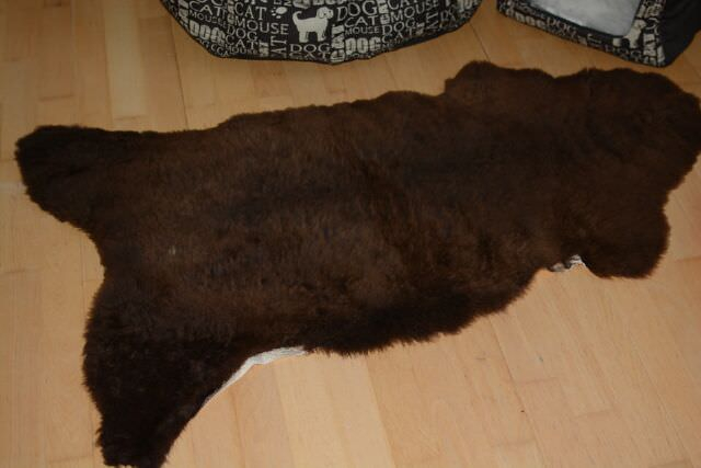 Öko Lammfell Tierbett & Hundebett „Braunbär“ Beige Braun