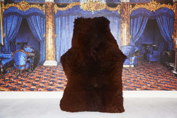 Öko Schaffell Modell Braunbär XXXL – Dunkelbraunes Riesen-Naturfell Unikat 155cm