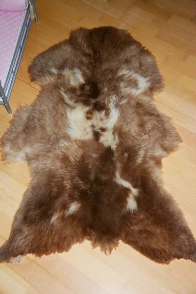 Ein funkelnder Bernsteintraum voller Eleganz und Raffinesse