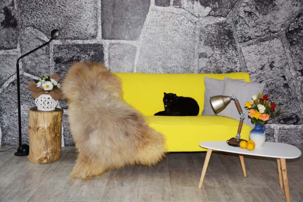 Öko Lammfell Honey Silbergrau XXXL – Echtes Naturfell Teppich 130cm